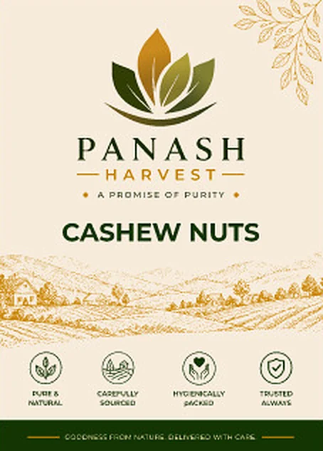 PANASH HARVEST Cashew Nuts carton, front